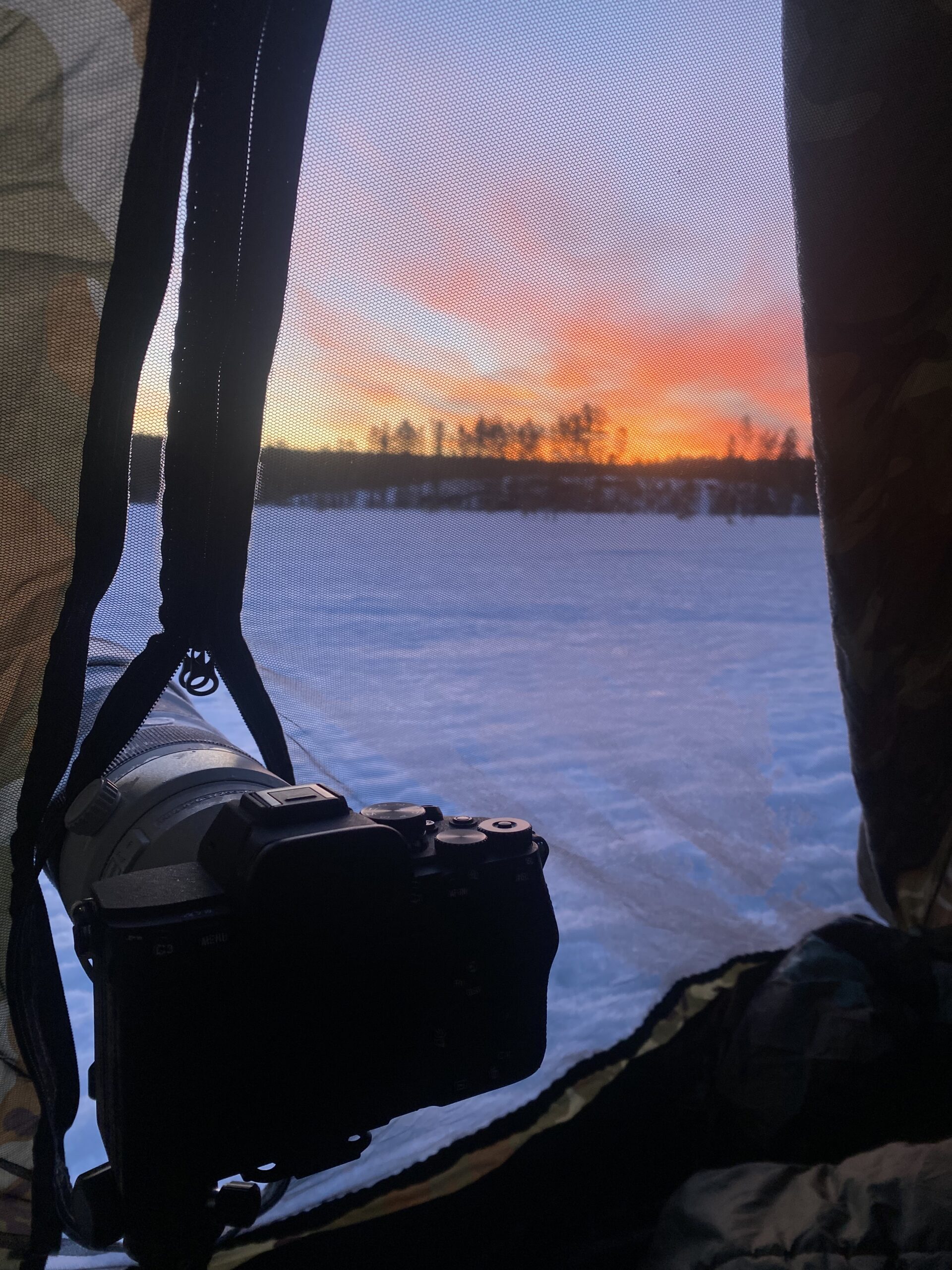 Sony camera vanuit een foto tent om de korhoederbalts te fotograferen.