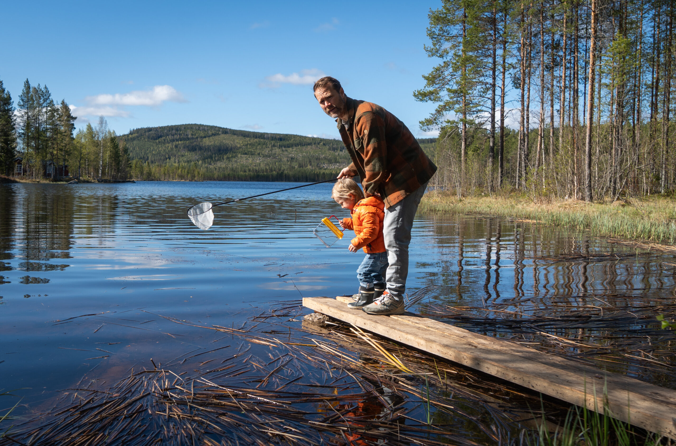 Een kinderactiviteit aan het water in de natuur van zweden