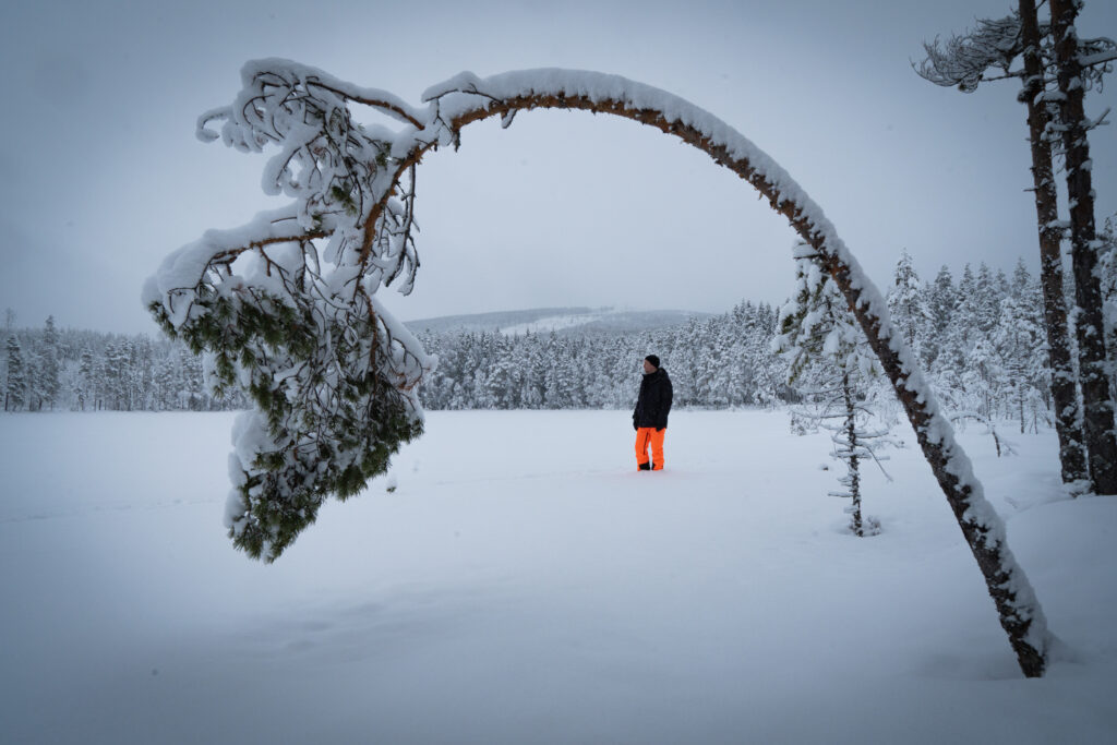 Een wit winters landschap in Zweden