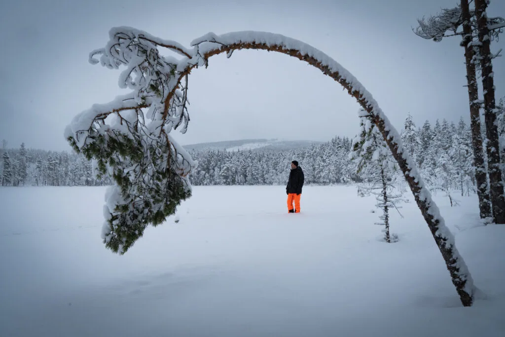Een wit winters landschap in Zweden