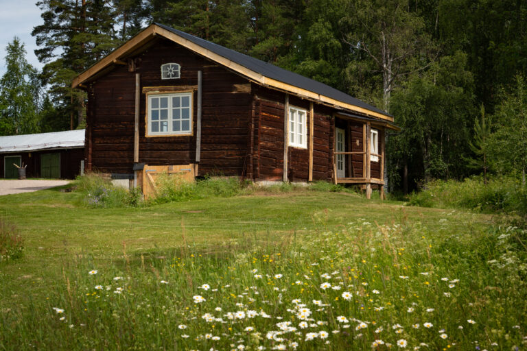 Vooraanzicht van het vakantiehuis van Friluft Sweden in de zomer