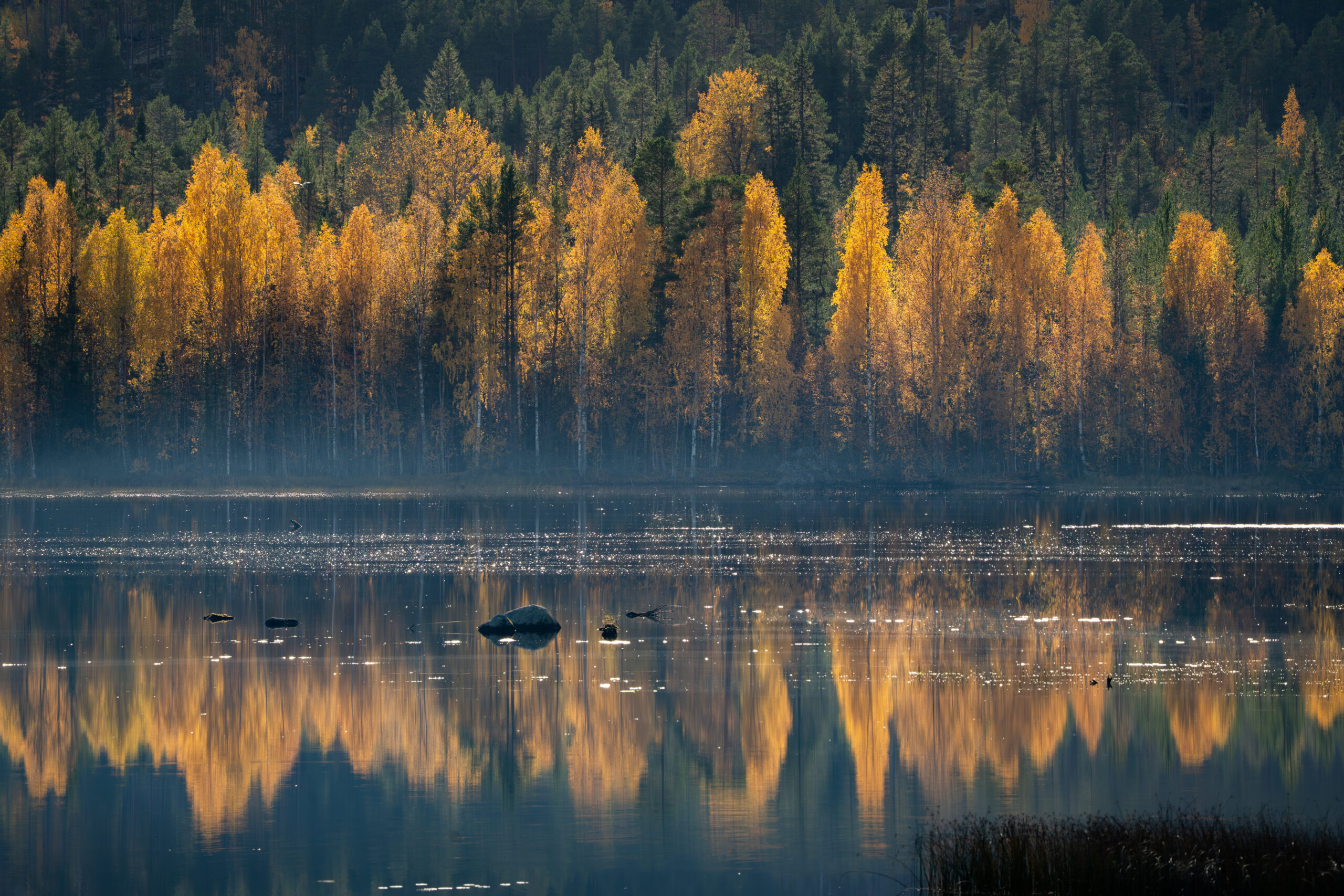 Het spiegelgladde water met herfstkleuren van de bomen op de achtergrond en in de weerspiegeling in Zweden bij Friluft Sweden