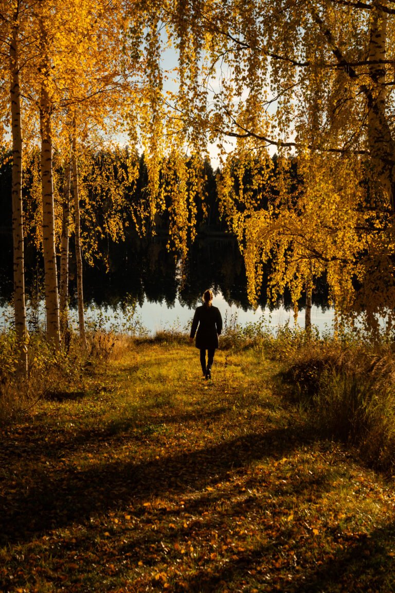 Herfst-Zweden-Friluft-Sweden-Herfstvakantie