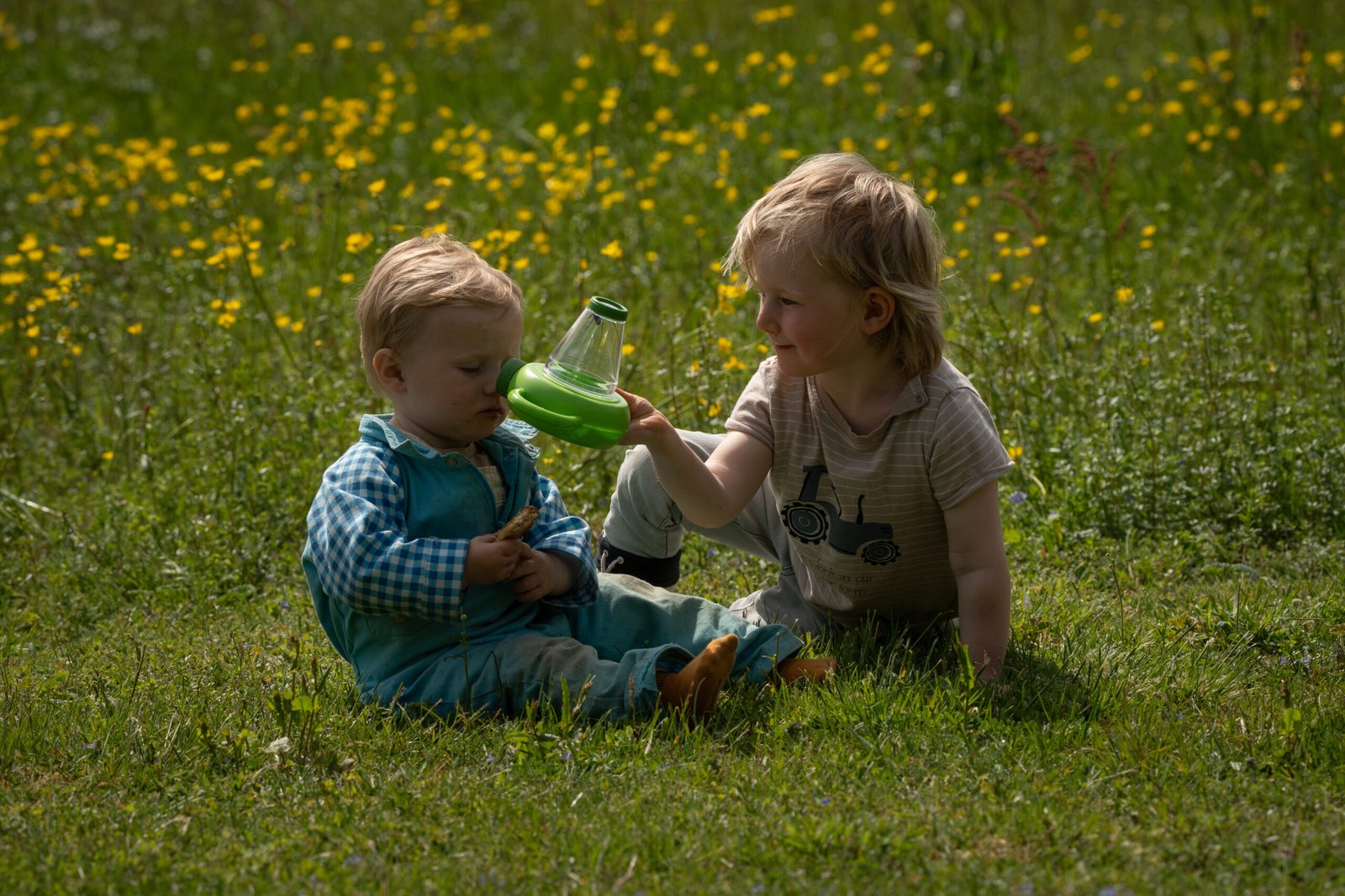 Twee jongens in juni in Zweden buiten aan het kijken naar de insecten en beestjes in de natuur