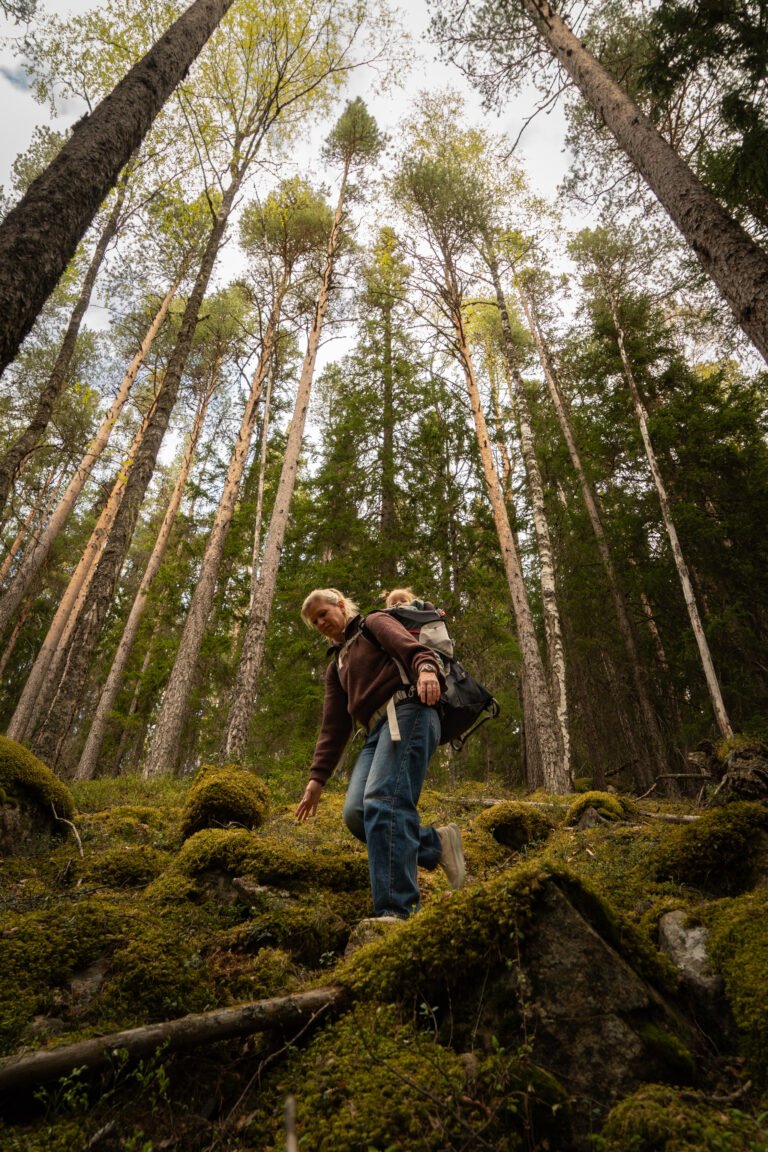 Outdoor_fotografie_Friluft_Sweden