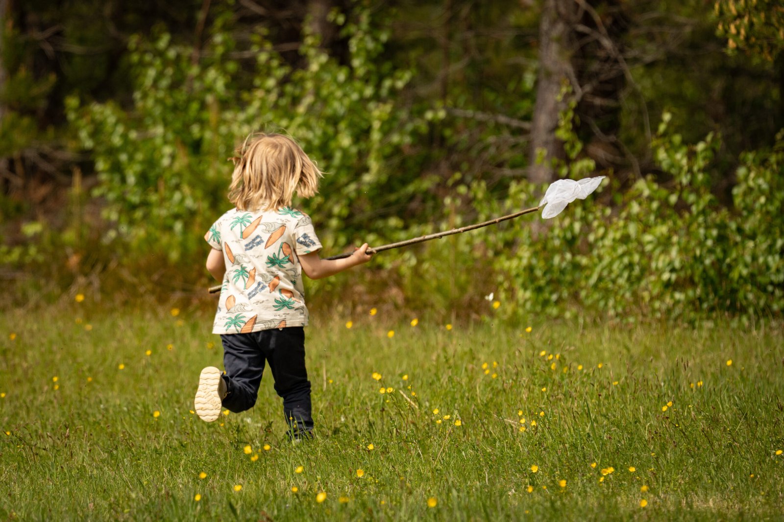 DSC07484